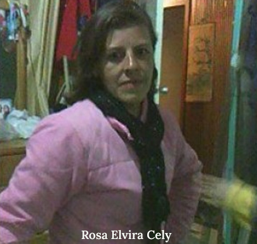 Rosa Elvira Cely